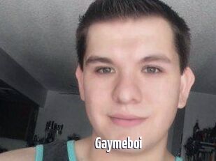 Gaymeboi