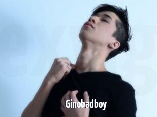 Ginobadboy