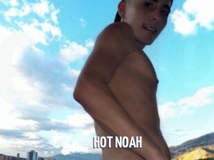 HOT_NOAH