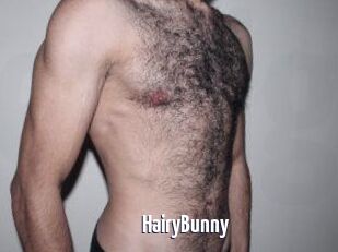 HairyBunny