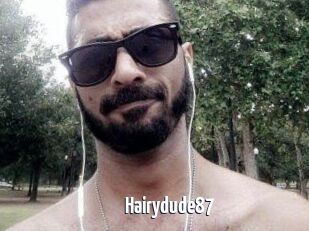 Hairydude87