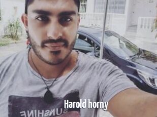 Harold_horny