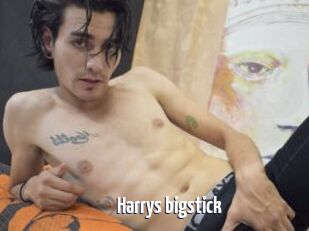 Harrys_bigstick