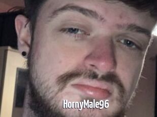 HornyMale96