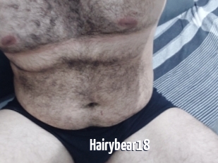 Hairybear18