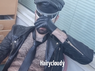 Hairycloudy