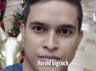 Harold_bigcock