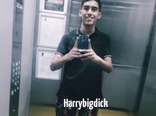 Harrybigdick