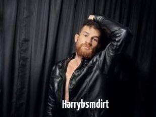 Harrybsmdirt