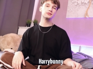 Harrybunny