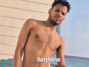 Harrylebron