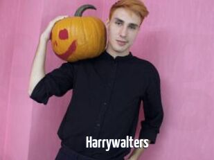 Harrywalters