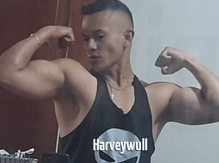 Harveywull