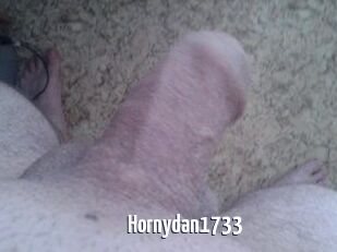 Hornydan1733