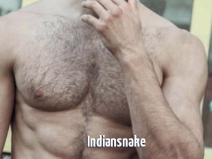 Indiansnake