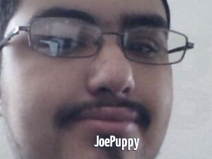 JoePuppy