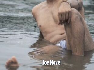 Joe_Novel