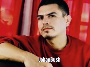 JohanBush