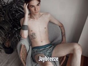 Jaybreeze