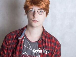 KevinTiger