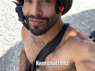 Keanumartinez