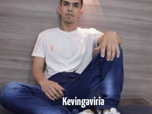 Kevingaviria