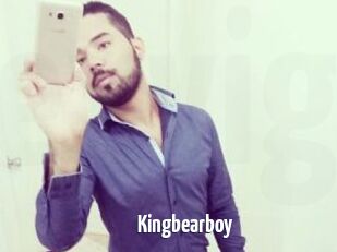 Kingbearboy