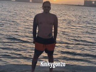 Kinkygonzo