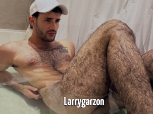 Larrygarzon