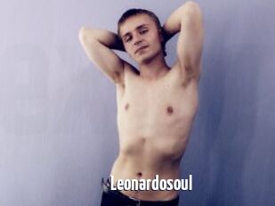 Leonardosoul