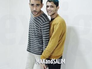 MAXandSALIM