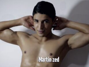 Martin_zed