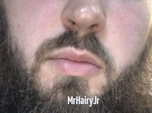 MrHairyJr