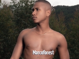 Marcoforest