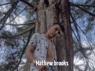 Mathew_brooks