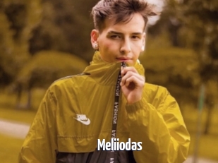 Meliiodas