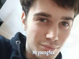 Mr_youngfox