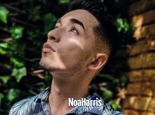 NoaHarris