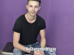 Nathanpervertgay