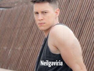 Neilgaviria