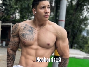 Noaharris19