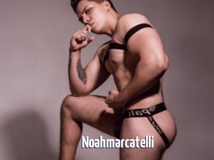 Noahmarcatelli