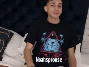 Noahsprouse