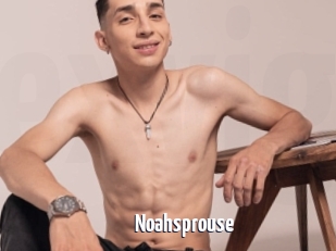 Noahsprouse