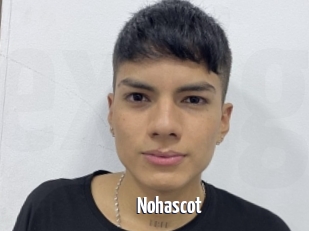 Nohascot