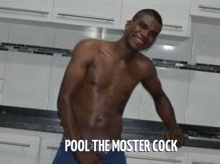 POOL_THE_MOSTER_COCK