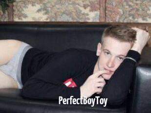 PerfectBoyToy