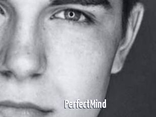 PerfectMind