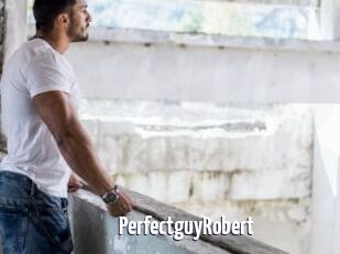 PerfectguyRobert