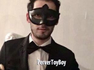 PerverToyBoy